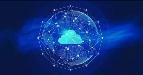 数字技术新浪潮 从少年编程的普及到老年编程的曙光